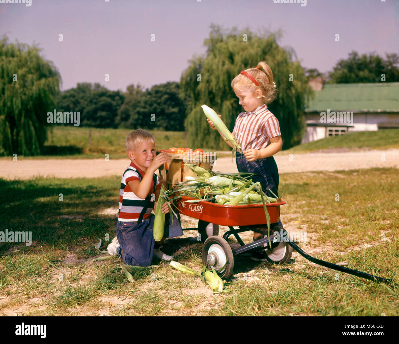 1960 niños campesinos poco chico chica cargando vagoneta roja con cesta de  tomates y mazorcas de maíz - kf3100 HAR001 HARS CAUCÁSICO GRANO LIFESTYLE  MUJERES HERMANOS CASA RURAL LA VIDA EJEMPLAR DE