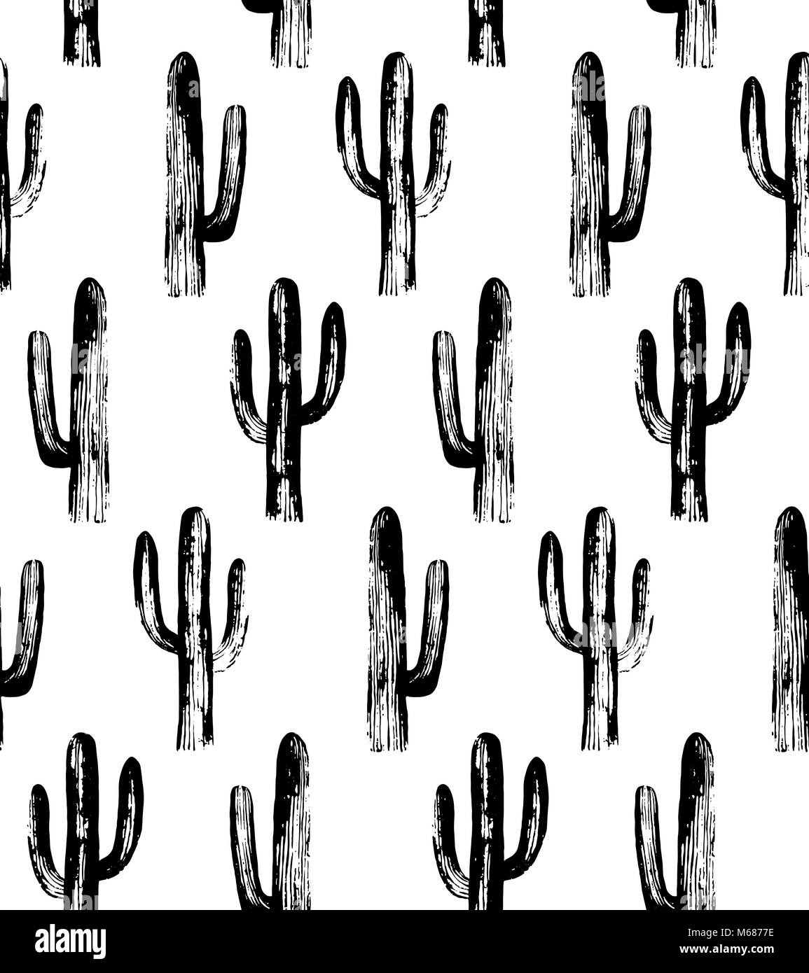 Cactus en blanco y negro. Patrón de Sketch. Antecedentes botánicos Foto de stock