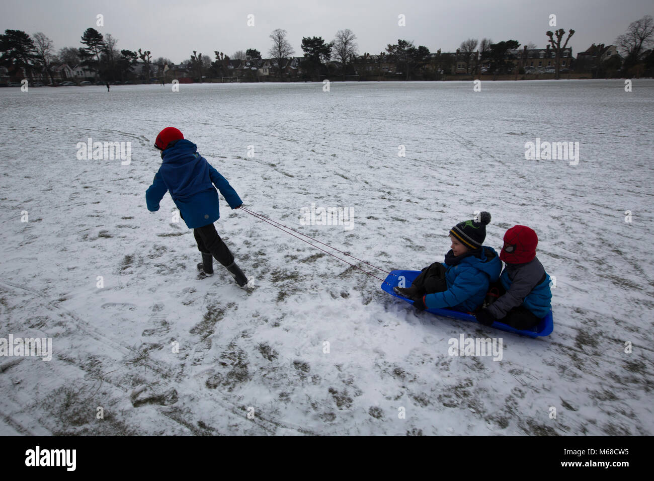 Jóvenes escolares que van a casa en la nieve de invierno a través de Dundonald Park en el sur de Wimbledon en un trineo, en el suroeste de Londres, Reino Unido Foto de stock