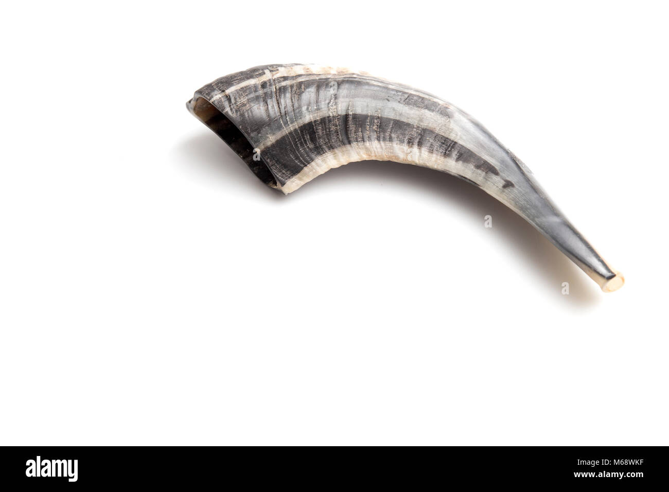 El shofar es un cuerno de carnero ahuecado utilizado para llamar a las  personas hacia Rependance Fotografía de stock - Alamy