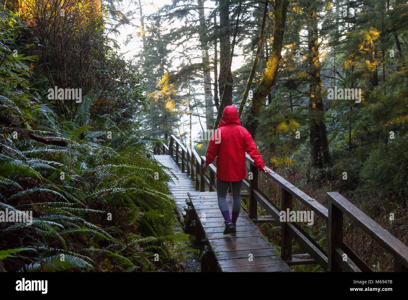 Chica que llevaba una chaqueta de color rojo brillante es el caminar de los hermosos bosques durante una animada mañana de invierno. Tomada en Ucluelet, Isla de Vancouver, BC, Canadá. Foto de stock