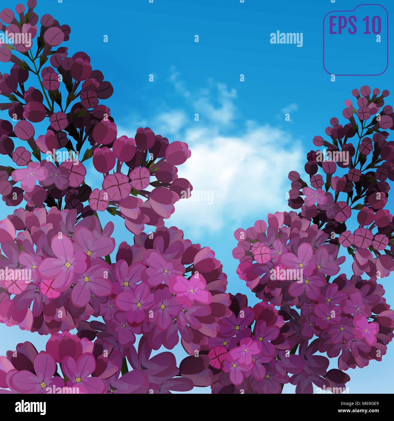 Lila dulce en el fondo de cielo azul. Vector de flores de color lila, azul-cielo  y luz de cloud. Dos ramas con flores lilas de primavera Imagen Vector de  stock - Alamy
