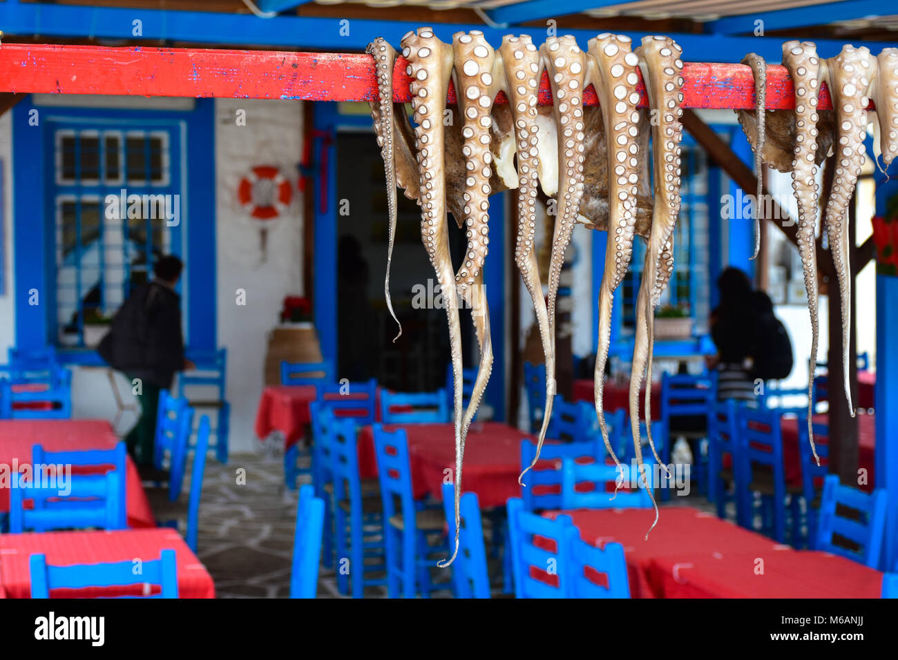 Comida tradicional griega Pulpo secado al sol en la aldea de Isla Trikeri Foto de stock