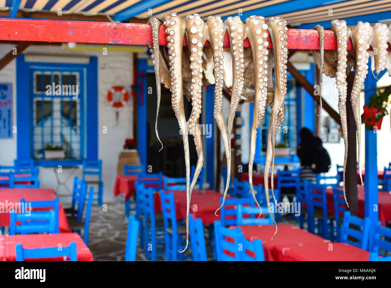 Comida tradicional griega Pulpo secado al sol en la aldea de Isla Trikeri Foto de stock