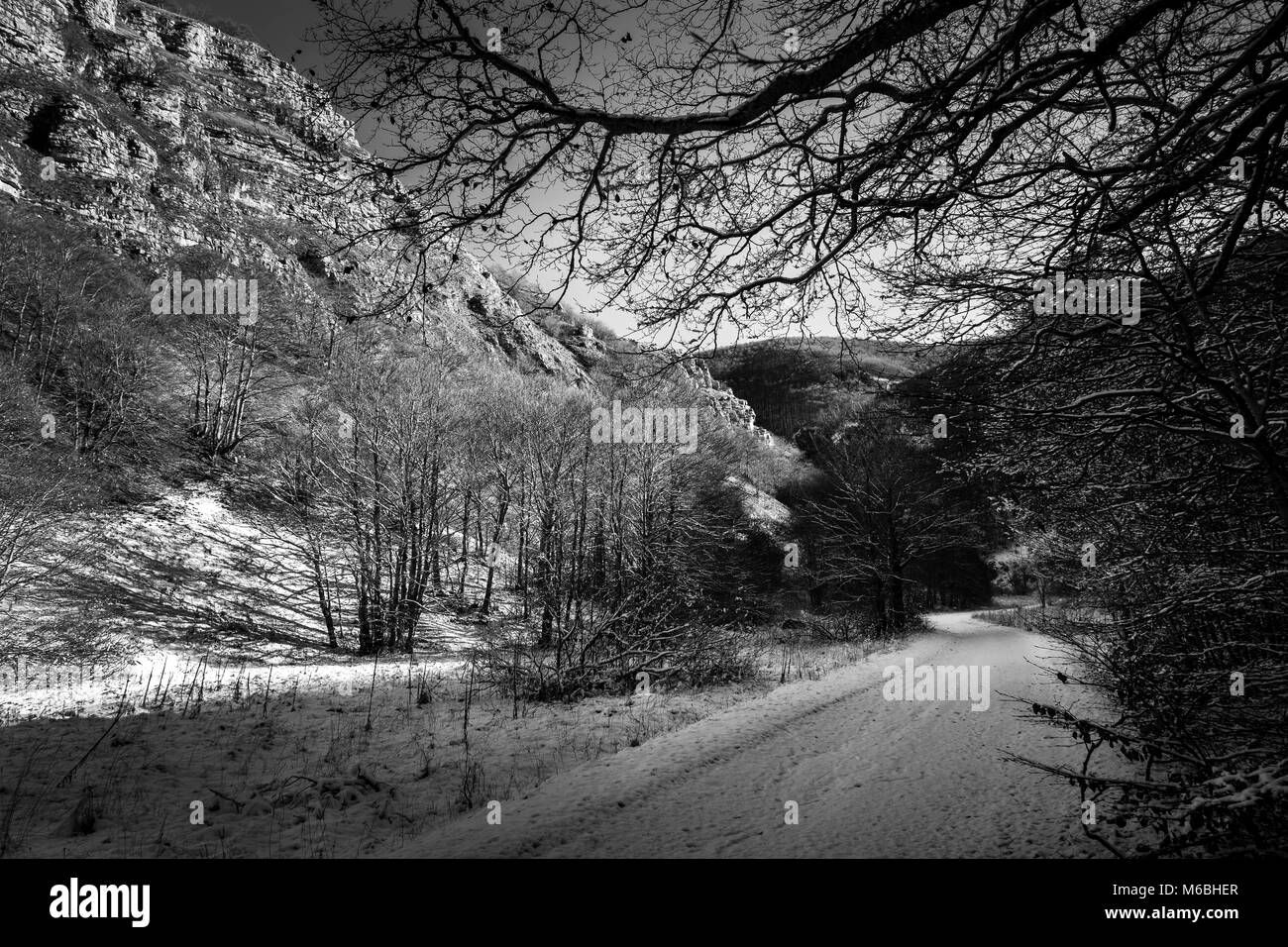 Camino de tierra en el bosque nevado Foto de stock