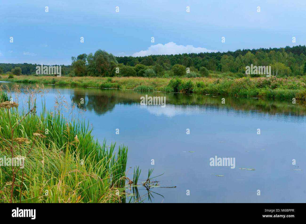 Suavizar el canal, el canal de Augustow, un embalse artificial construcción, río plana larga Foto de stock
