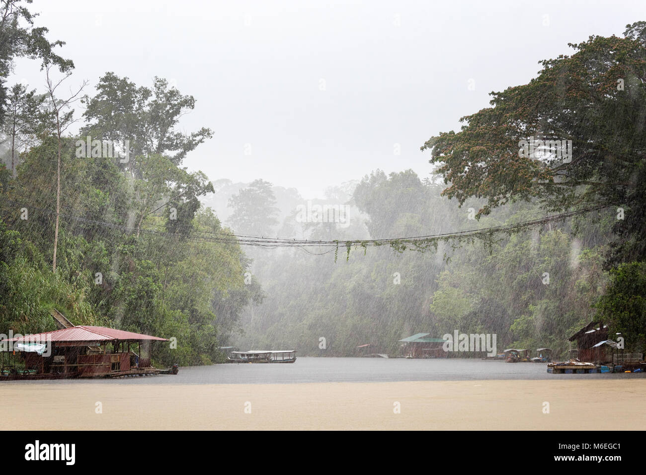 Fuertes precipitaciones sobre el río, Kuala Tahan, Taman Negara N.P. Malasia Foto de stock