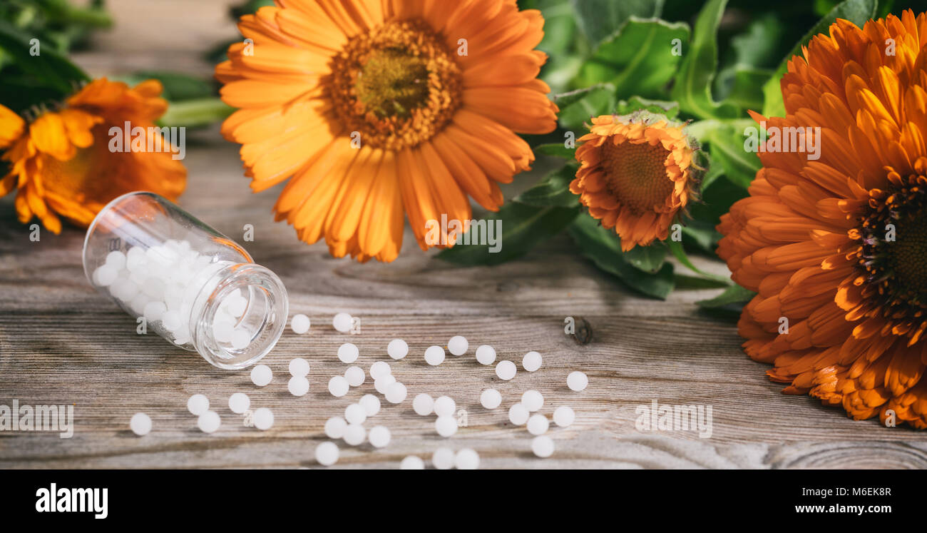 Calendula medicina alternativa. La caléndula florece fresco, blanco y caléndula homeopatía píldoras sobre una tabla de madera Foto de stock