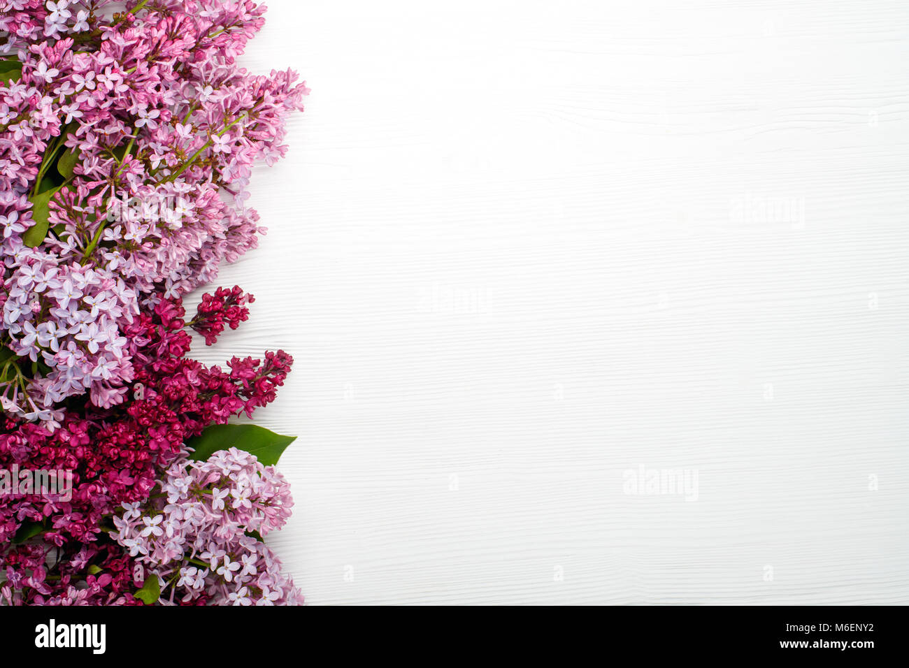 Las flores de la primavera. Flores de color lila sobre fondo blanco de  madera. Vista superior, plana lay, copiar spase Fotografía de stock - Alamy