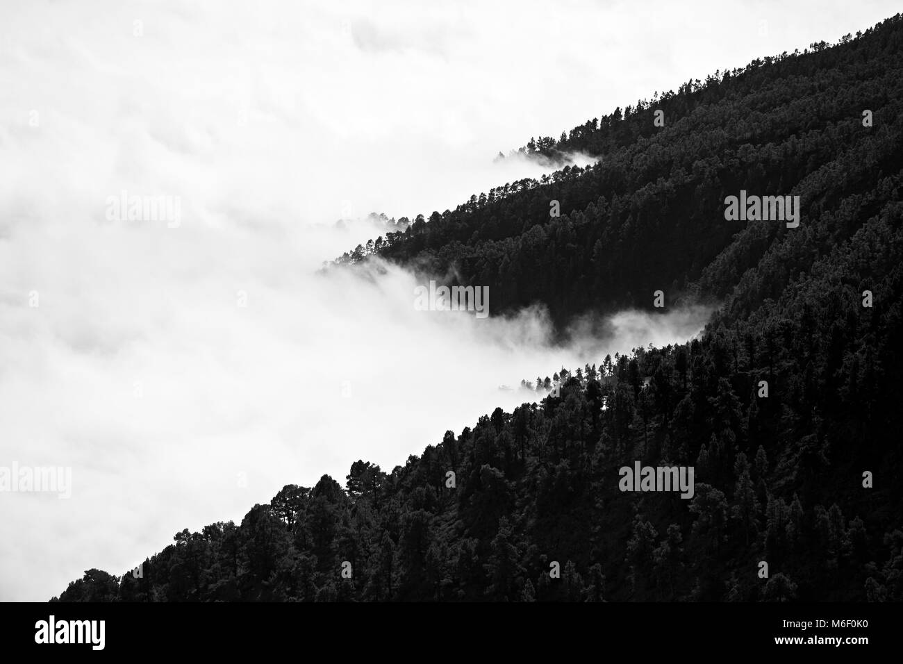Vista hacia las nubes chocan con las montañas cubiertas de bosque en La Palma, España. Versión en blanco y negro. Foto de stock
