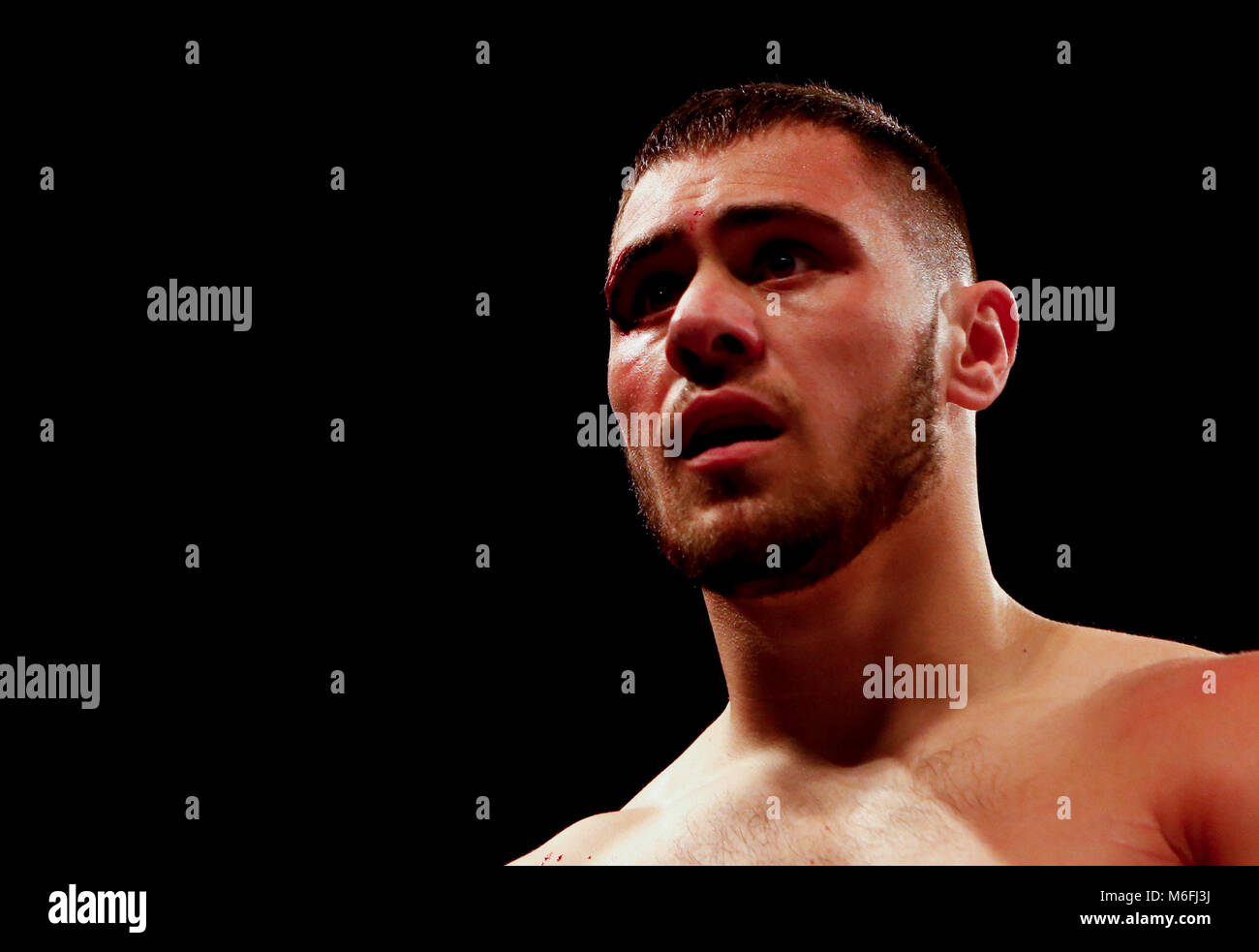 David allen fotografías e imágenes de alta resolución - Alamy