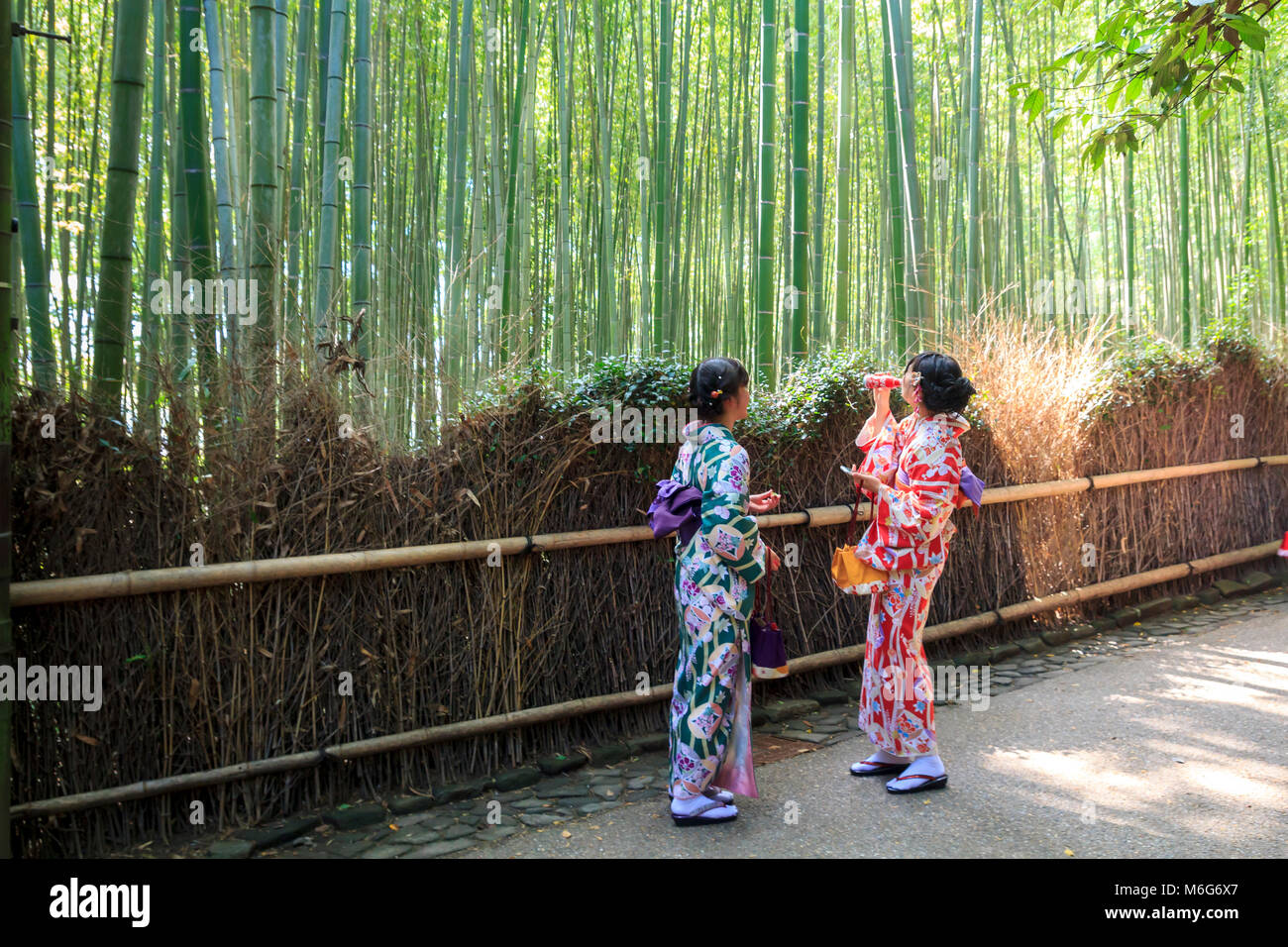 Los japoneses jóvenes mujeres vestidas con kimono tradicional de pie en el bosque de bambú de Arashiyama, Kyoto, Japón Foto de stock
