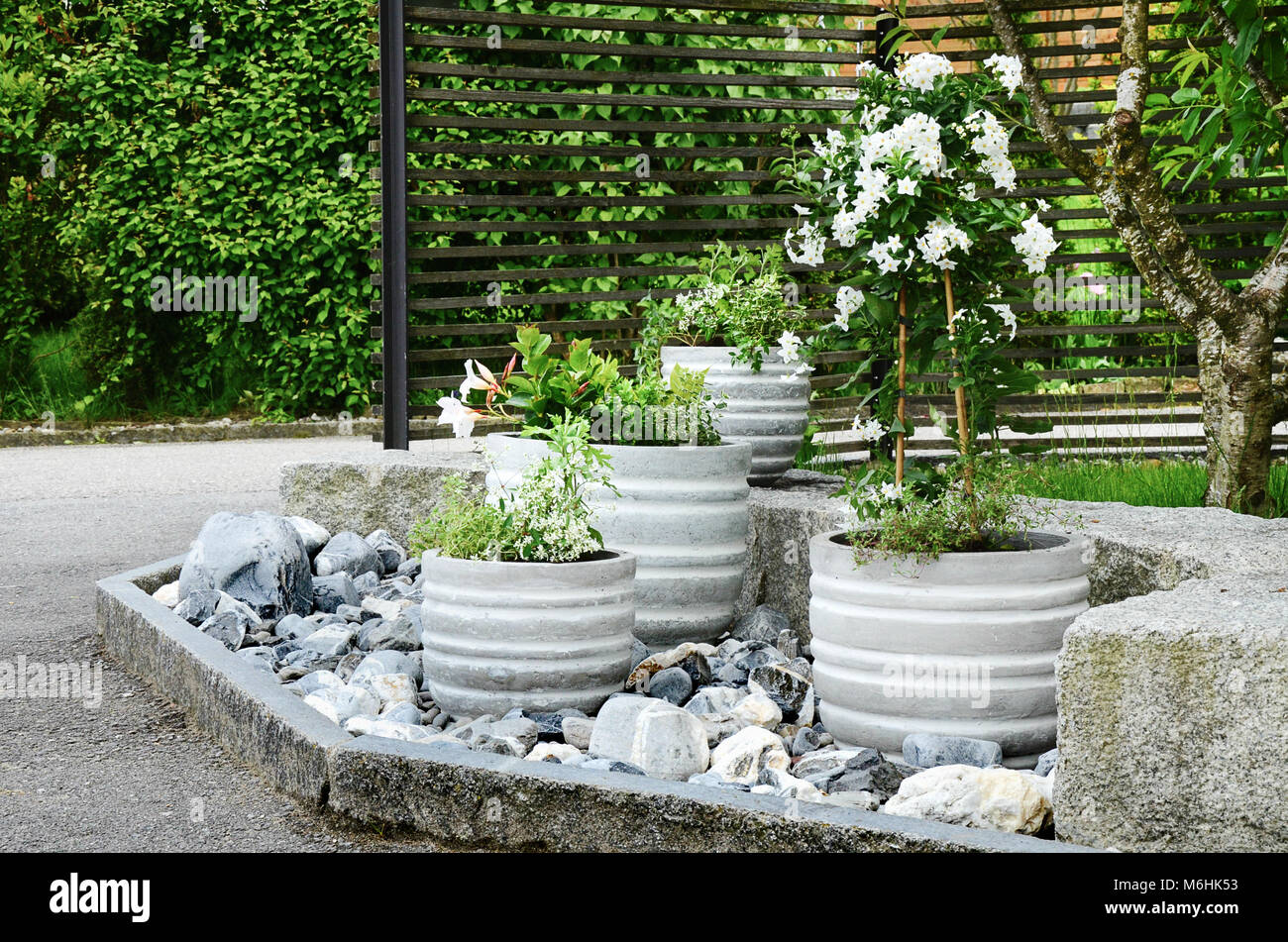 Jardín de Piedras arreglo en casa verde y blanco de entrada con plantas y macetas de hormigón Fotografía de stock - Alamy
