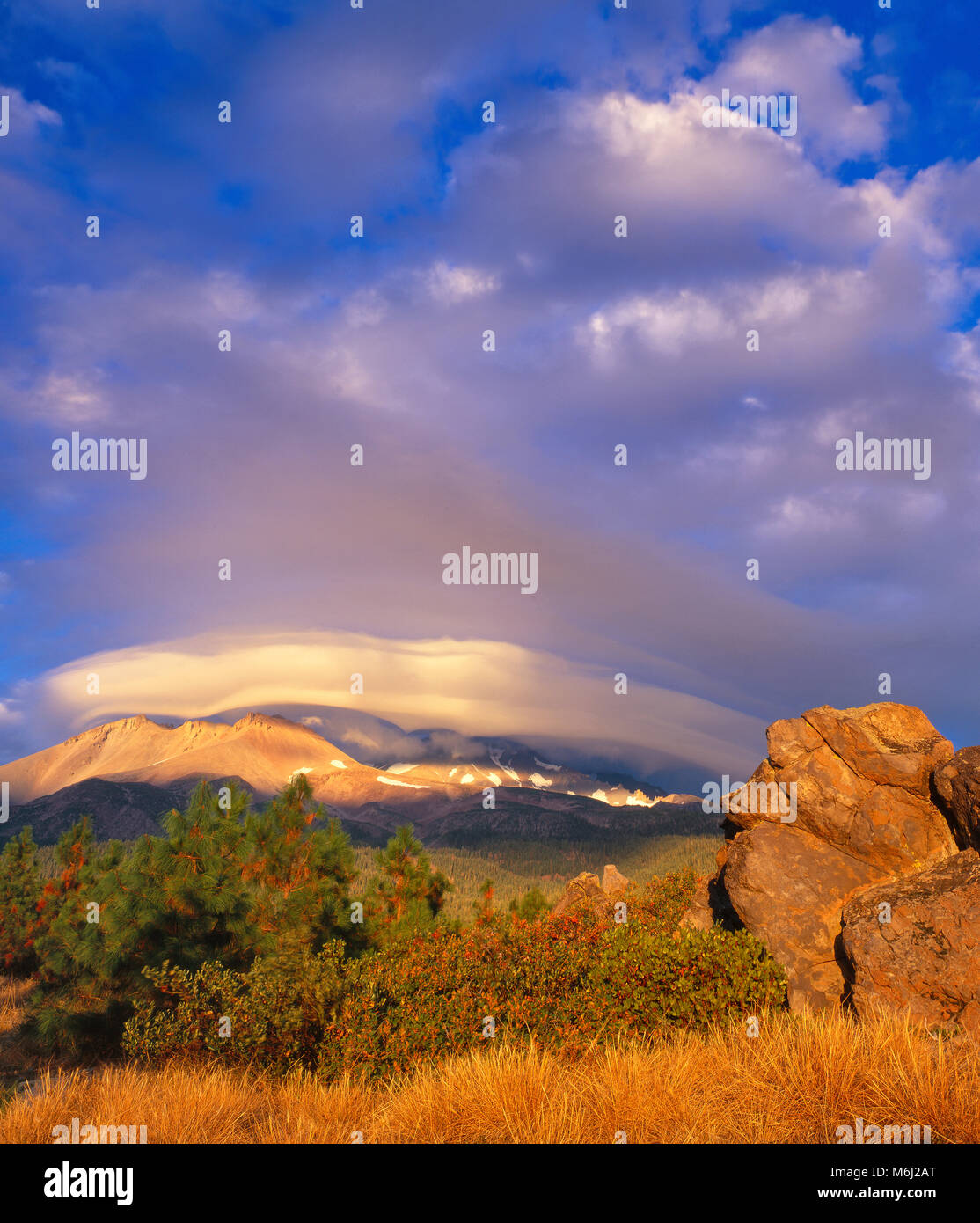 Nube lenticular, Shastina, monte Shasta, el Bosque Nacional Shasta-Trinity, California Foto de stock