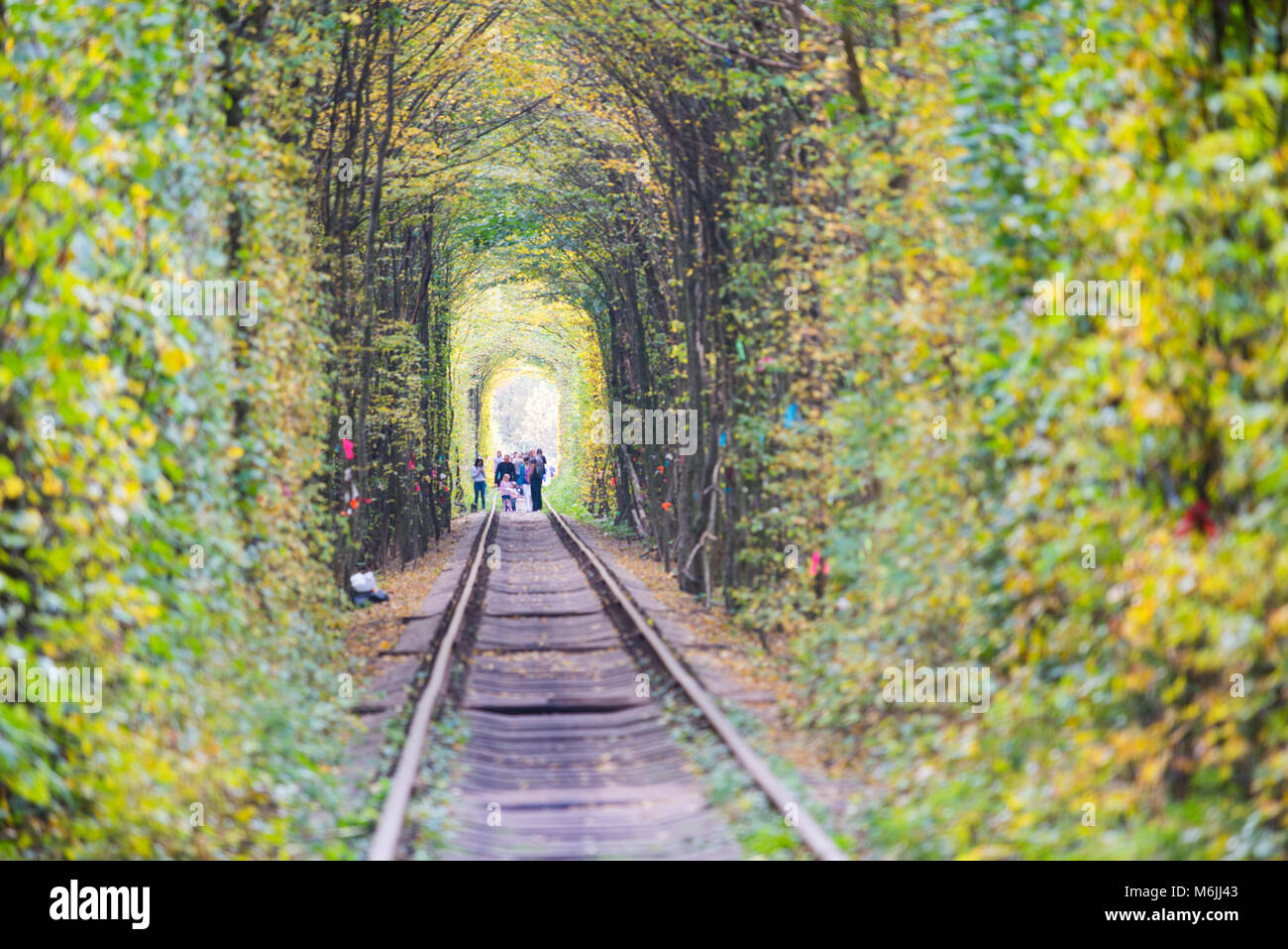 Rivne, punto de interés - el Túnel del Amor, el ferrocarril, atravesando profundos bosques Foto de stock