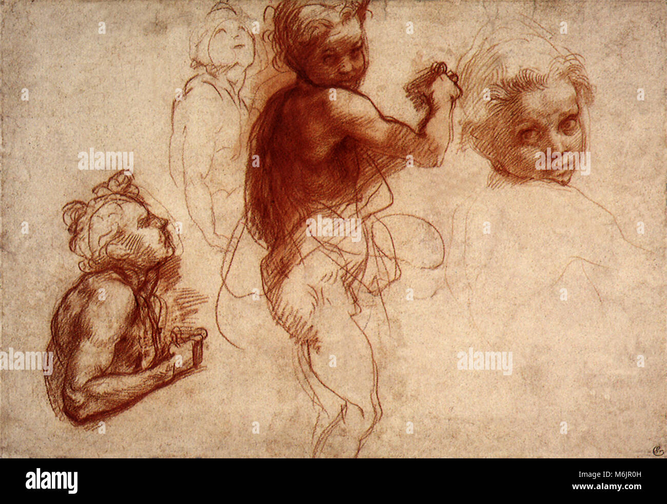 Cuatro estudios de un niño, Andrea del Sarto, 1520. Foto de stock