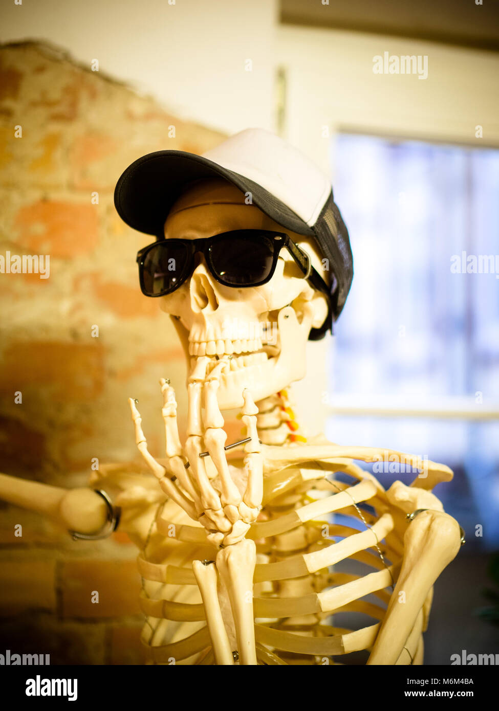 Cool espeluznante modelo esqueleto con gafas de sol Foto de stock