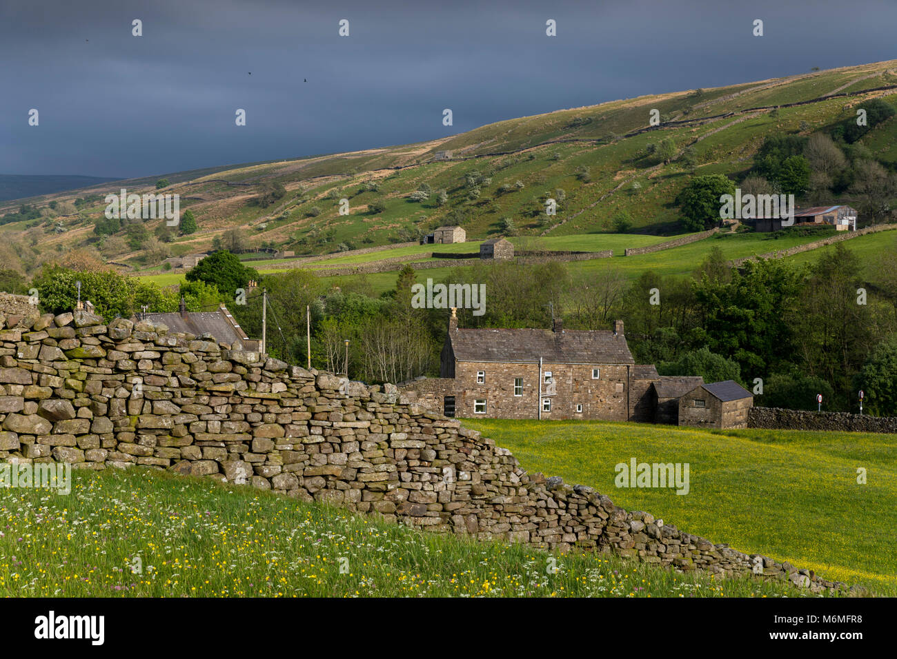 Swaledale Muker;; Yorkshire, Reino Unido Foto de stock