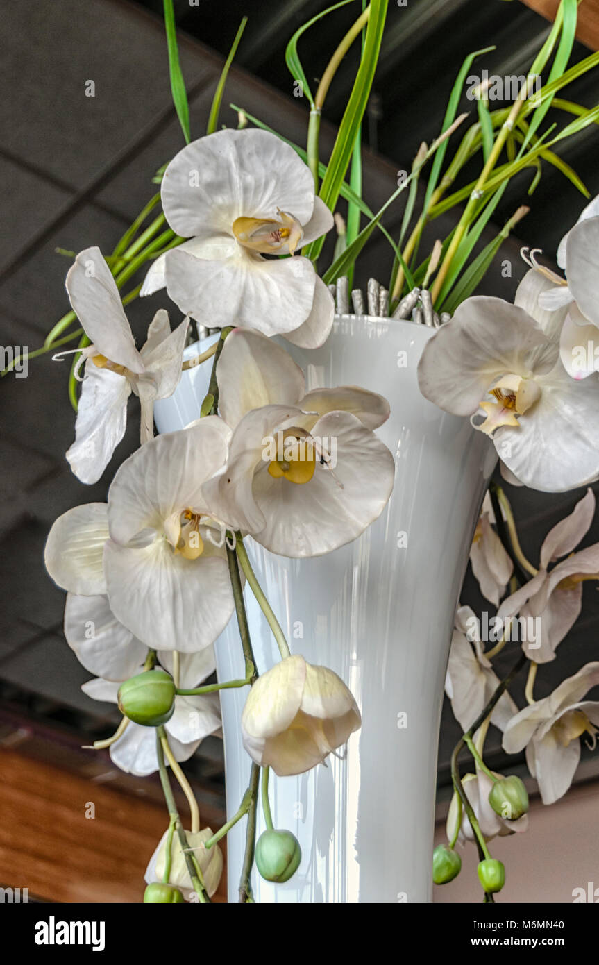 Flores blancas en un florero para interiores Fotografía de stock - Alamy Flores blancas en un florero para interiores Fotografía de stock - Alamy