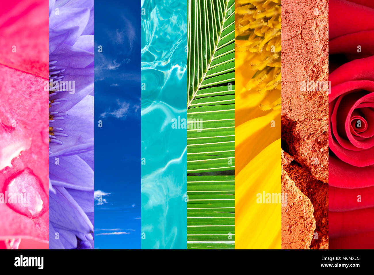 Arco iris de la naturaleza, la naturaleza colorida photo collage, colores vivos de la naturaleza Foto de stock