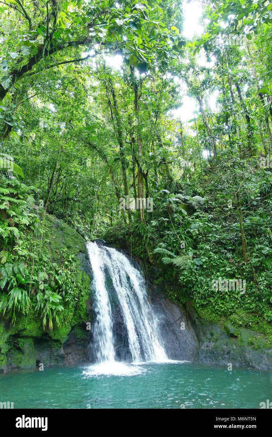 Cascada de cangrejo de río o La Cascade aux Ecrevisses, en el Parque Nacional de la Isla Caribeña Francesa de Guadalupe, Indias Occidentales. Foto de stock