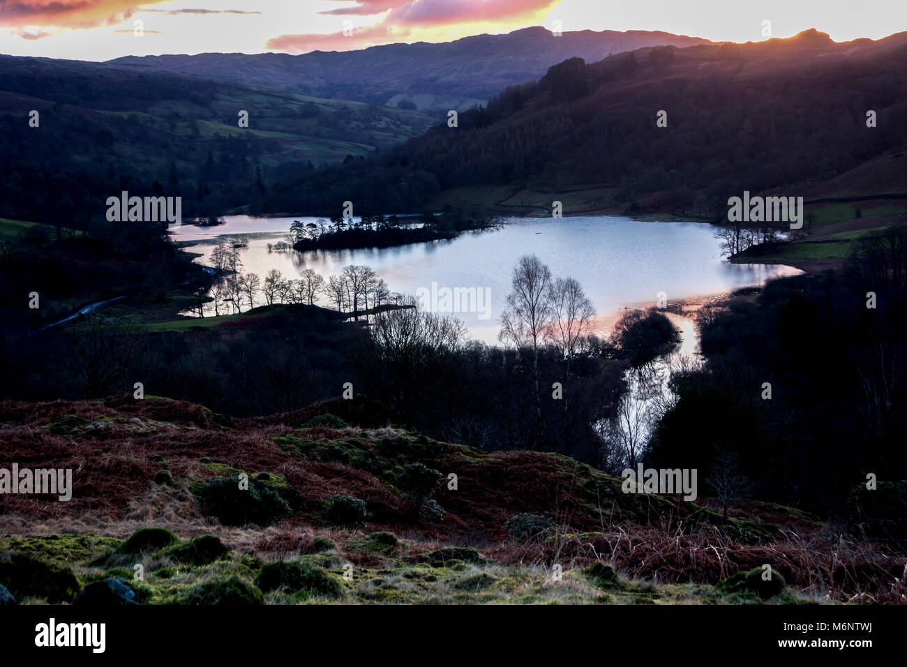 Vista del amanecer de musgo blanco de Rydal Water, Lake District, Inglaterra, Reino Unido. Foto de stock
