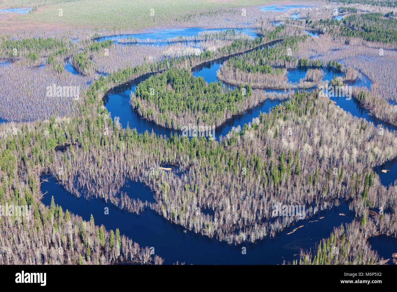 Vista aérea desde arriba del bosque río durante las inundaciones de primavera Foto de stock