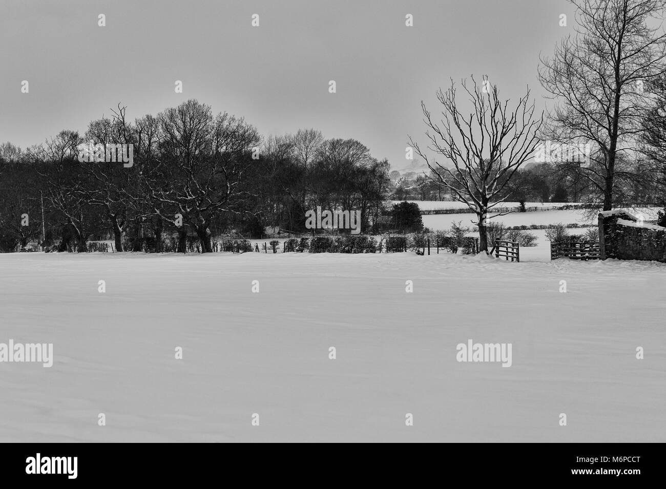 Después de la bestia de East County Durham golpea los campos y los alrededores están cubiertos por una pesada capa de nieve fresca. Foto de stock