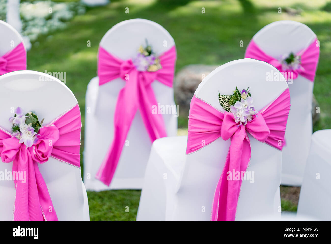 El dorso de spandex blanco preside la cubierta con guillotina de organza rosa con conos de pétalos de rosas Foto de stock