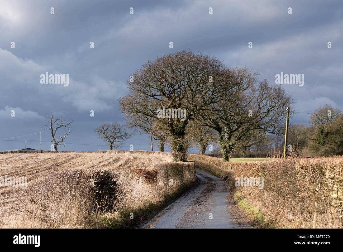 Luz brillante sobre un carril en Kent cerca de Lydden, Dover, Kent, UK. Tomada durante el invierno. Foto de stock