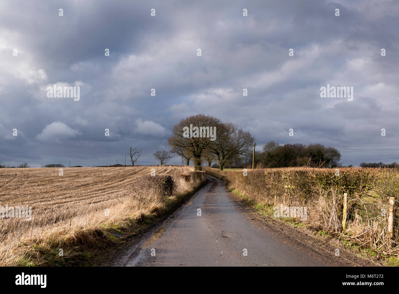 Luz brillante sobre un carril en Kent cerca de Lydden, Dover, Kent, UK. Tomada durante el invierno. Foto de stock