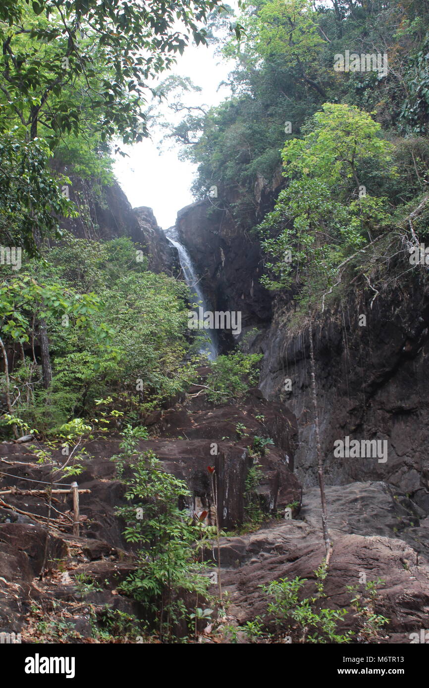 Trekking a la cascada de Klong Phlu Foto de stock
