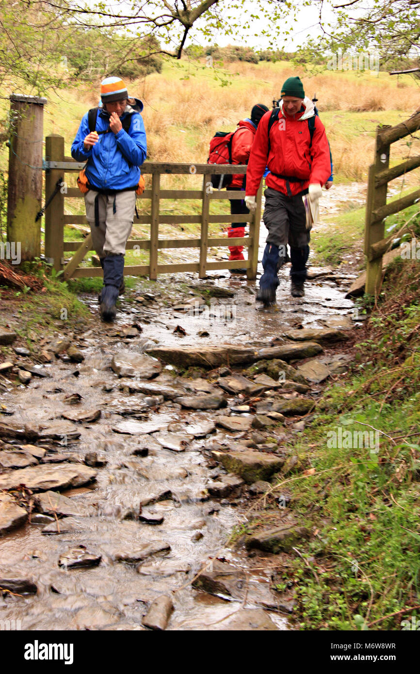 Grupo de caminantes se acercan en Wye de heno en el Offa's Dyke sendero de larga distancia después de caminar por la via de Brecon Beacons Bluff en heno húmedo Foto de stock