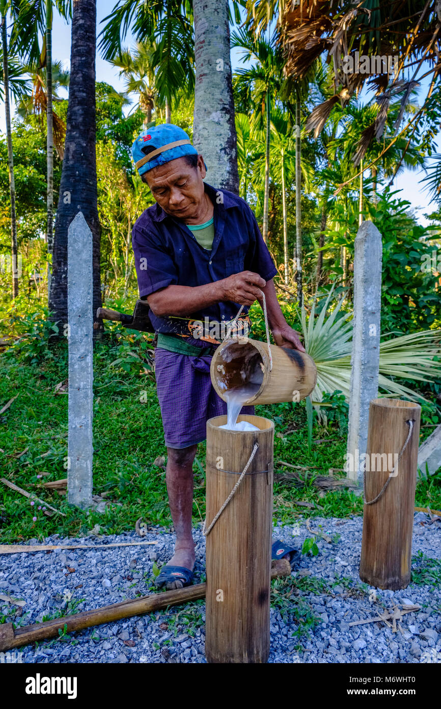 Un granjero local está vertiendo una palmera de coco, palma sap jugo, en un contenedor de bambú Foto de stock