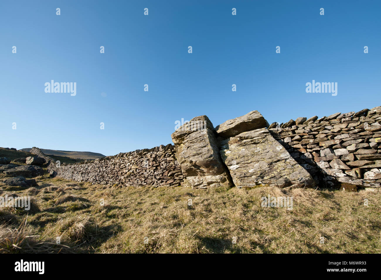 Gran natural grauvaca silúrico con muro de piedra construido alrededor de ella,Austwick Norber erráticas Foto de stock