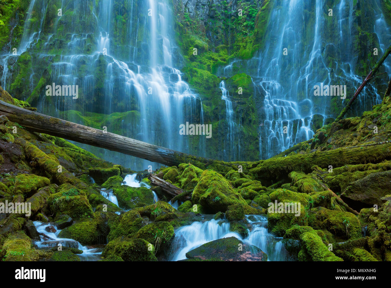 Proxy Falls, Tres Hermanas desierto Willamette-Deschutes National Forest, Oregón Foto de stock