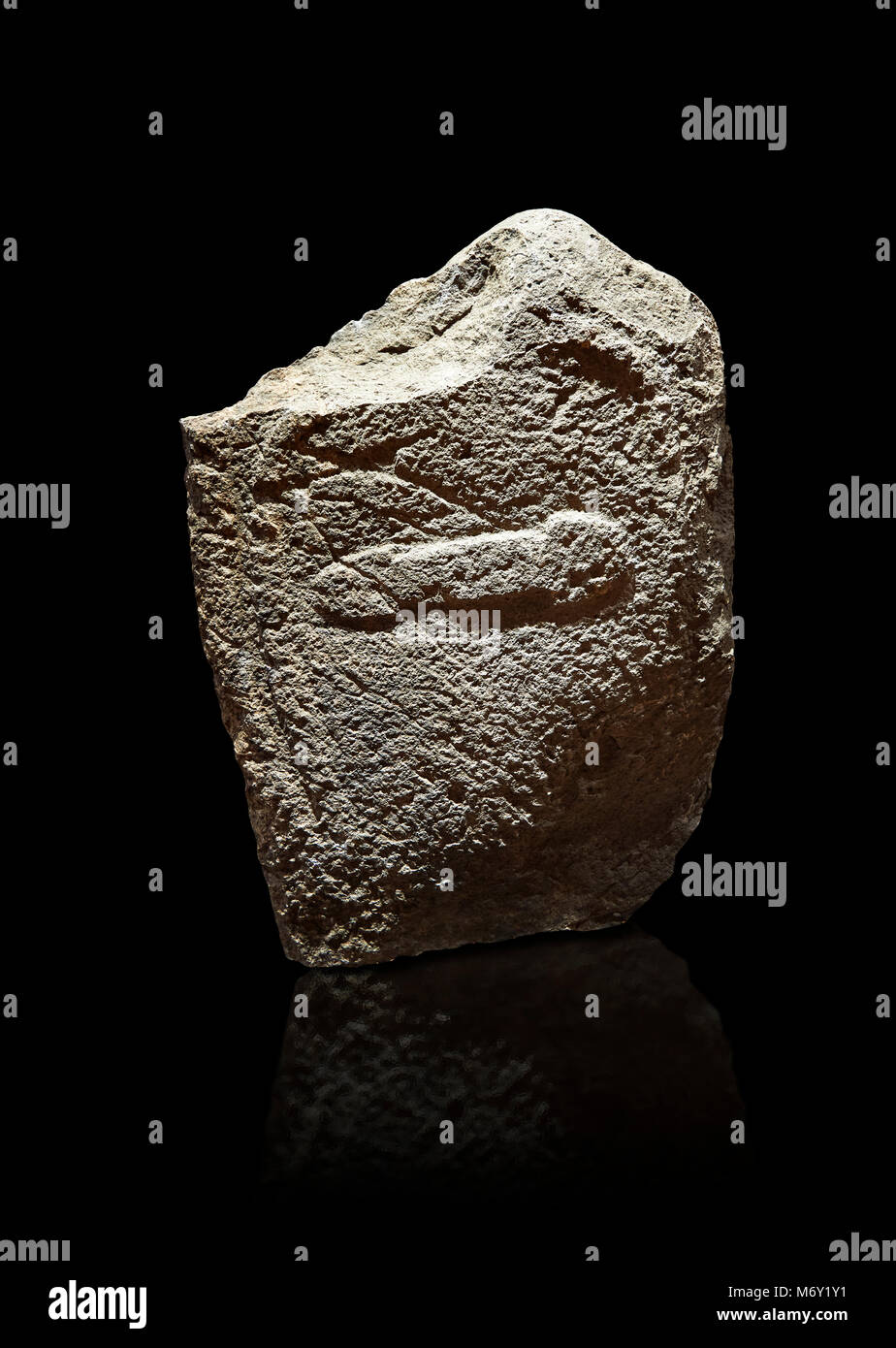 A finales del Neolítico Europeo Menhir prehistórico con tallas de piedra permanente sobre su cara. La representación de una figura masculina stylalised con el indi Foto de stock