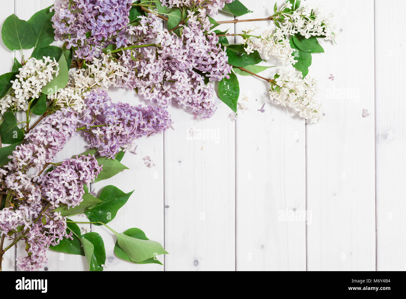 Flores de color lila en el fondo de madera Fotografía de stock - Alamy