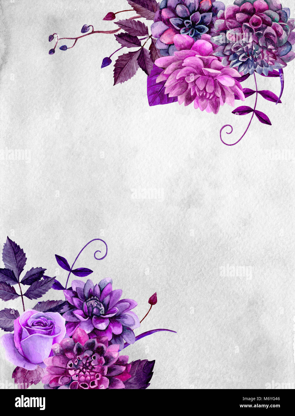 Acuarela flores púrpuras. Lila bouquet floral. Plantilla de diseño de  tarjetas de felicitación Fotografía de stock - Alamy