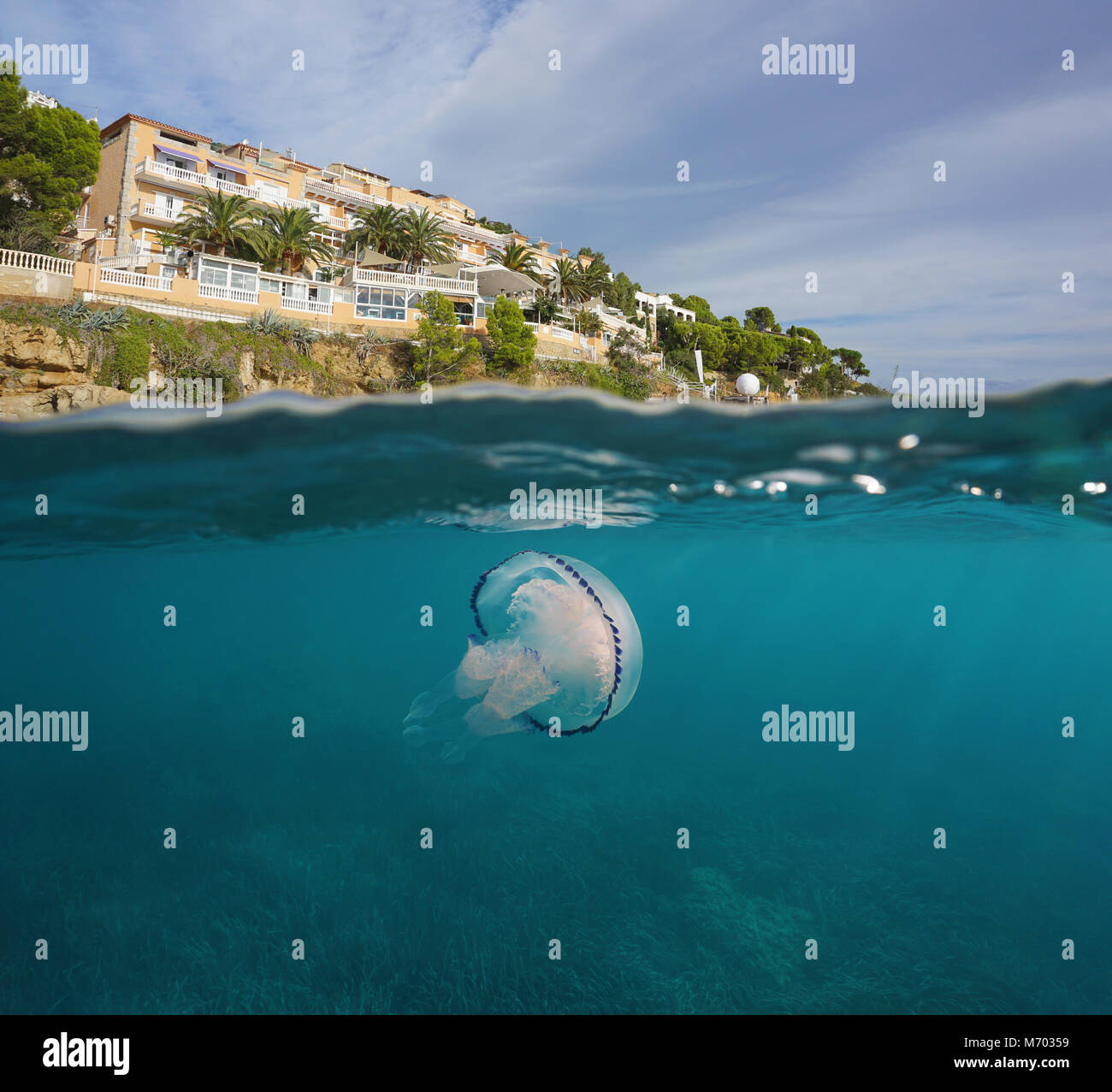 Hotel en la costa del mar Mediterráneo con unas medusas submarinas, vista dividida por encima y por debajo de la superficie del agua, España, Costa Brava, Cataluña Foto de stock
