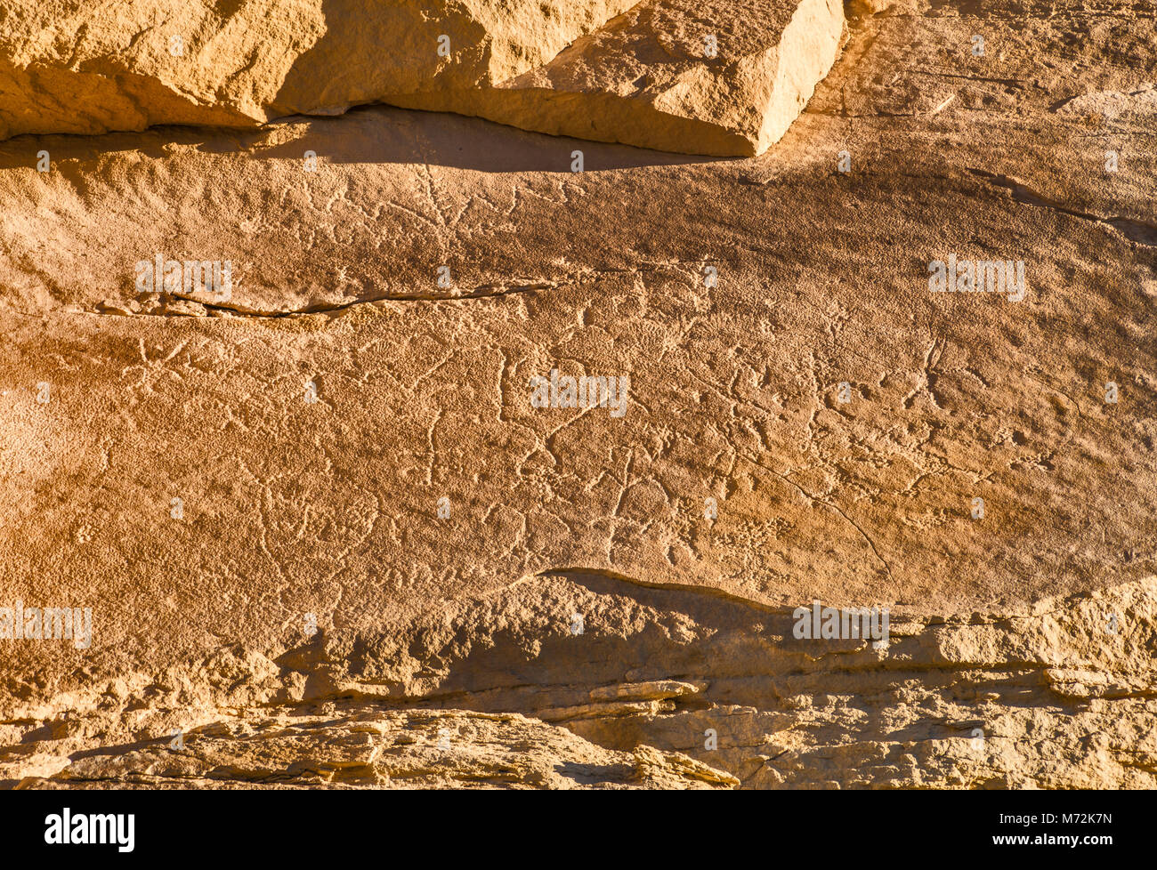 Este sitio Fourmile, Fremont cultura petroglifos panel de arte, Cañón Pintado, cerca del distrito histórico Rangely, Colorado, EE.UU. Foto de stock
