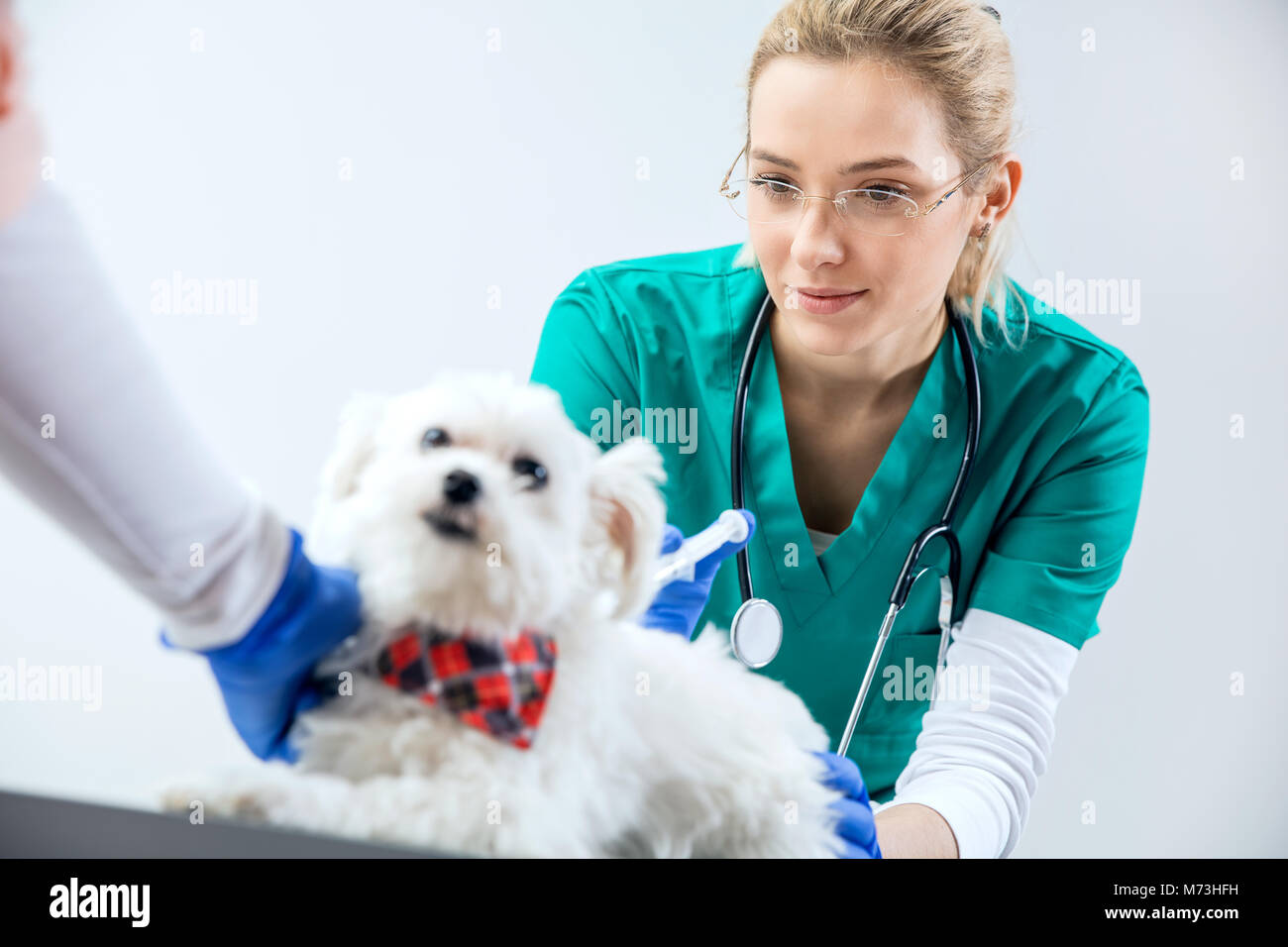 A visit to the vet. Vet 15. Врач с животным. Животные в медицине. Vet 15.