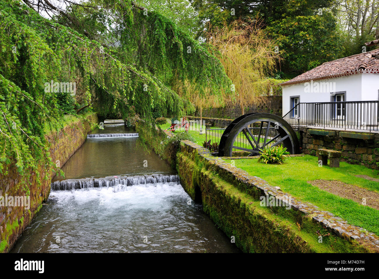 Furnas. São Miguel, Islas Azores. Portugal Foto de stock