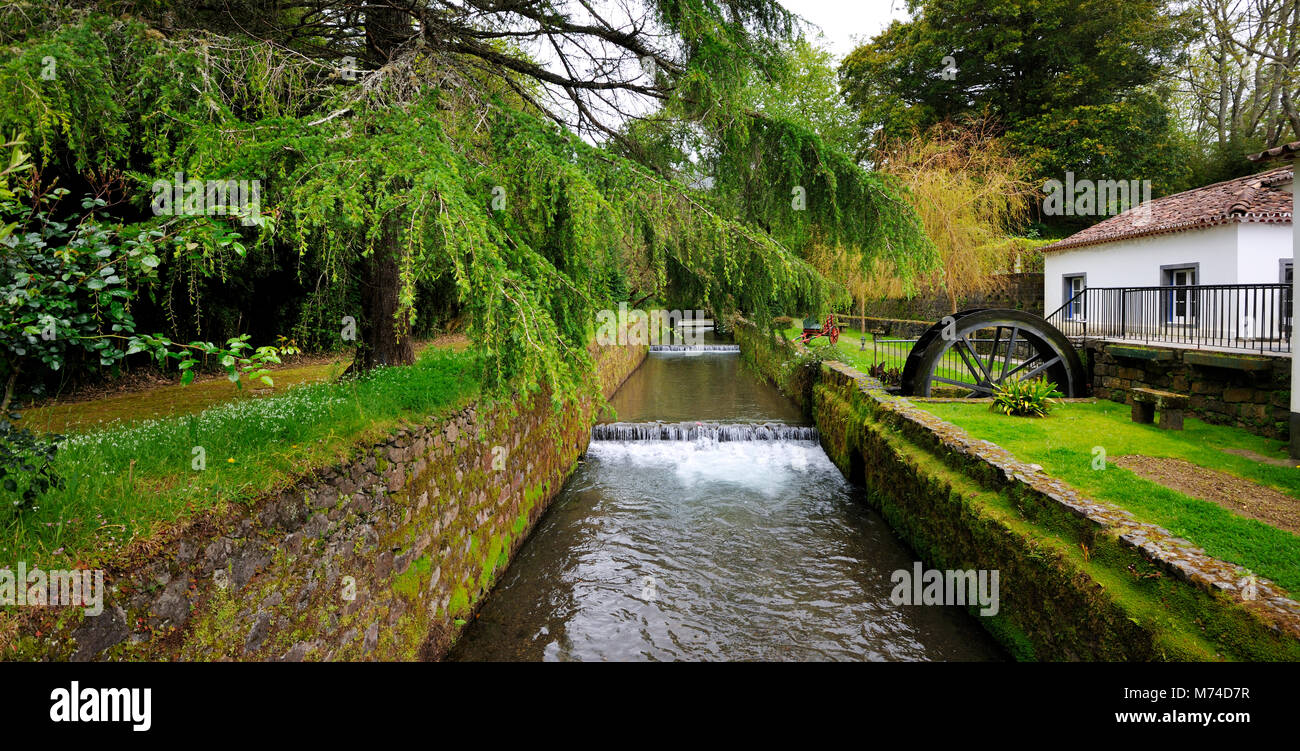 Furnas. São Miguel, Islas Azores. Portugal Foto de stock