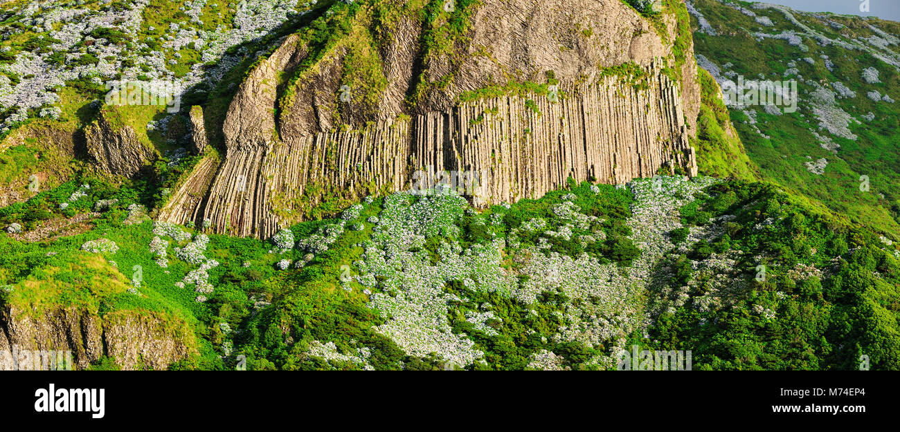 Rocha dos Bordões Bordões (rock), una formación de roca volcánica, la isla de Flores. Azores, Portugal Foto de stock