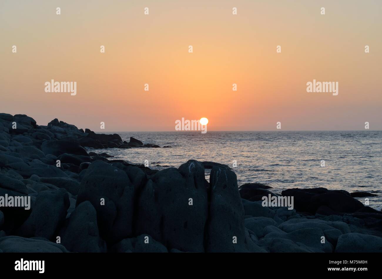 Sol moribundo fotografías e imágenes de alta resolución - Alamy