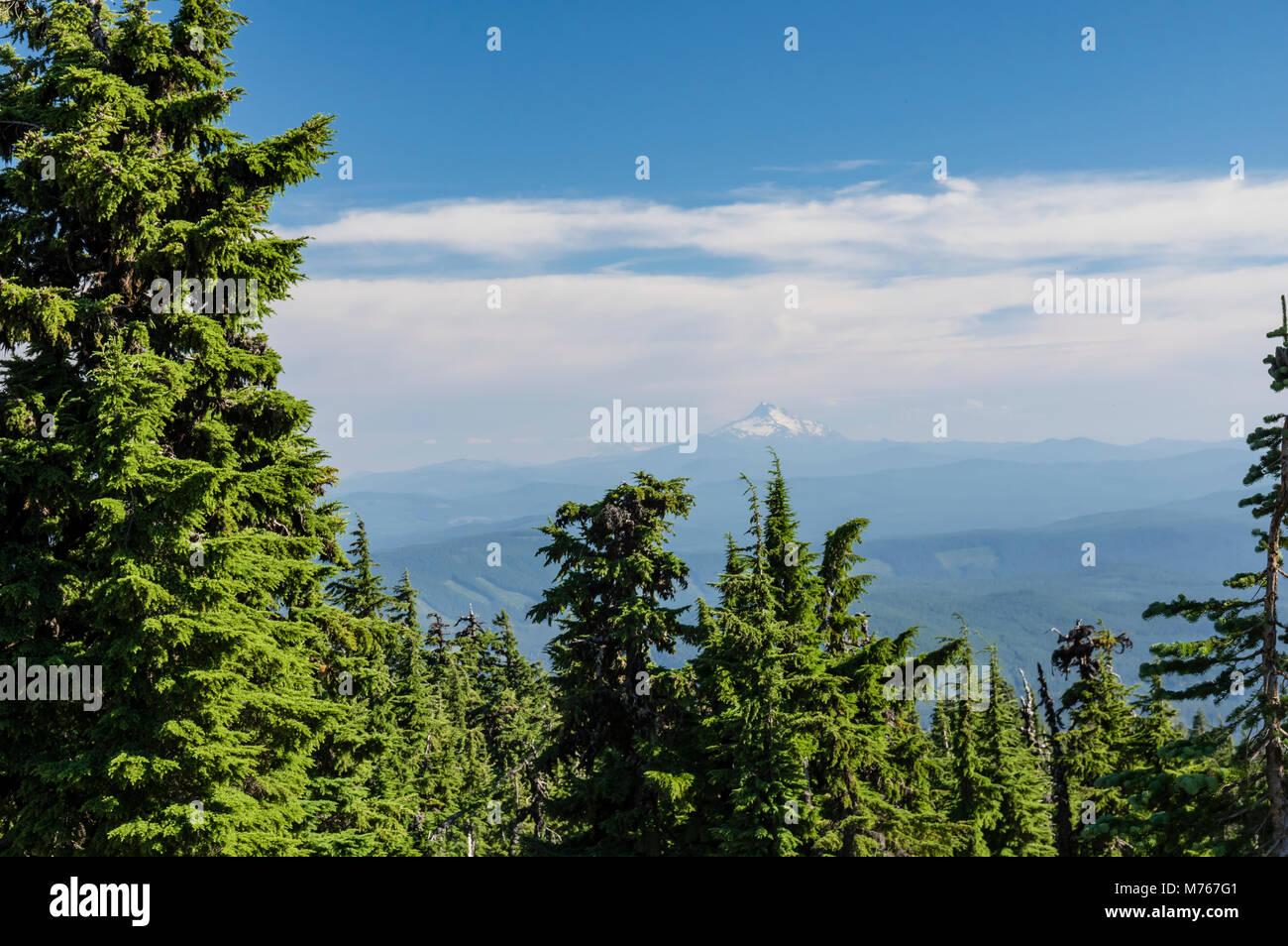 Mt Jeffesron en las Montañas Cascade, visto desde el Monte Hood Foto de stock