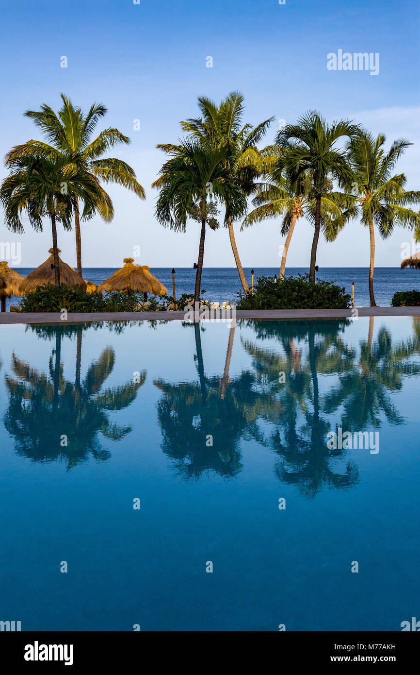 Reflexiones de palmeras en la piscina del hotel Sugar Beach, Santa Lucía, Islas de Barlovento, Antillas, Caribe, América Central Foto de stock