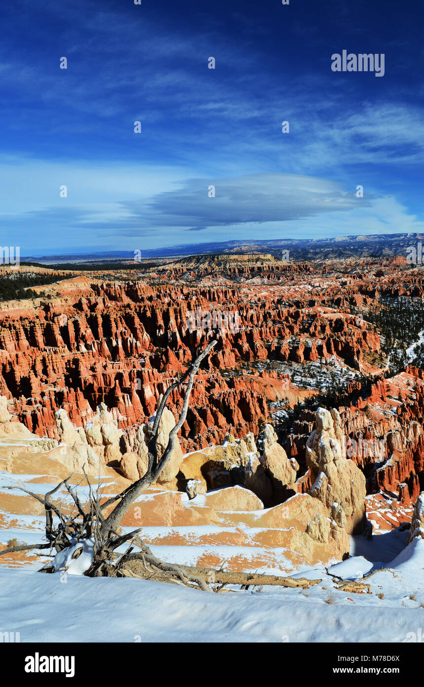 Bryce Canyon durante el invierno. Foto de stock