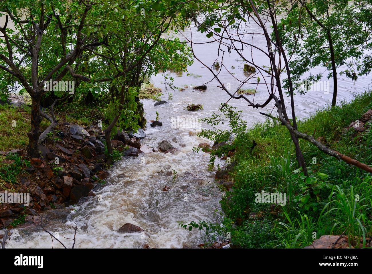 El agua que fluye de un gran drenaje de agua de tormenta después de las tormentas y lluvias, Aplins Weir, Townsville, Queensland, Australia Foto de stock